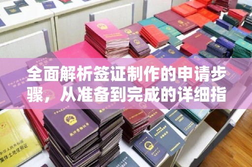 静乐全面解析签证制作的申请步骤，从准备到完成的详细指南