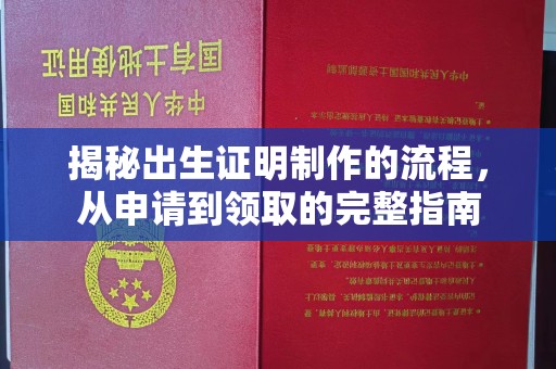 静乐揭秘出生证明制作的流程，从申请到领取的完整指南