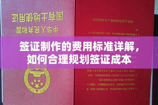 静乐签证制作的费用标准详解，如何合理规划签证成本